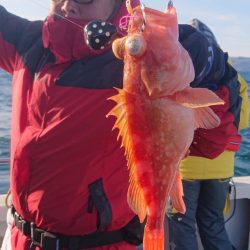 ARCADIAⅡ (アルカディアⅡ) 釣果