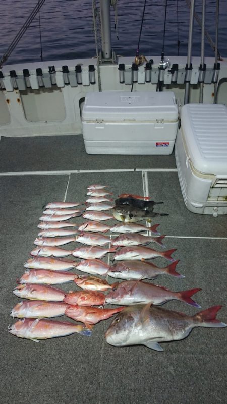 ARCADIAⅡ (アルカディアⅡ) 釣果