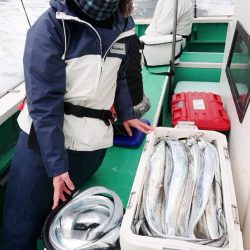 金沢八景鴨下丸 釣果