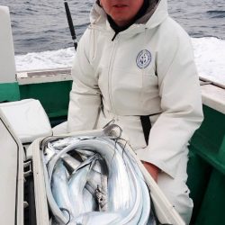 金沢八景鴨下丸 釣果