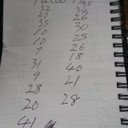 金沢八景鴨下丸 釣果