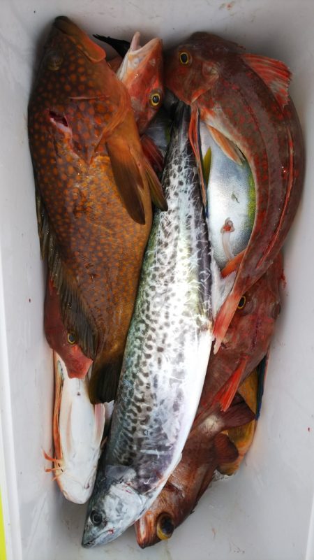 第二龍勢丸 釣果