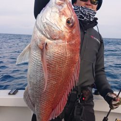 ARCADIAⅡ (アルカディアⅡ) 釣果