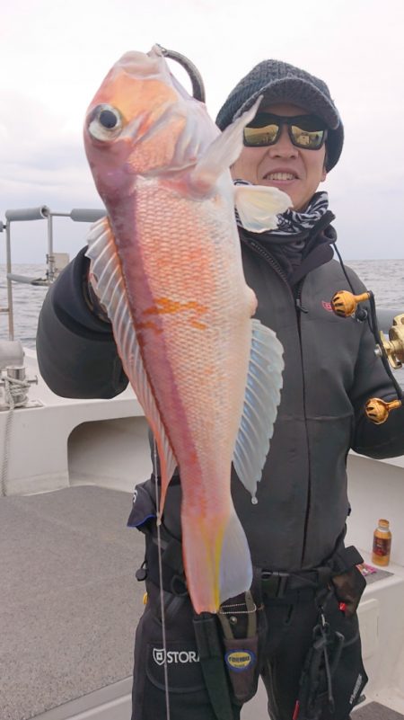 ARCADIAⅡ (アルカディアⅡ) 釣果