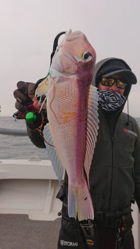 ARCADIAⅡ (アルカディアⅡ) 釣果