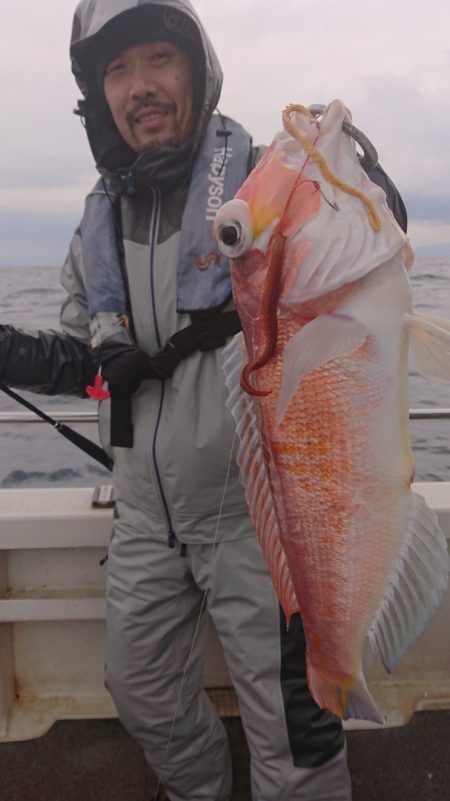 ARCADIAⅡ (アルカディアⅡ) 釣果