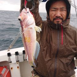 ARCADIAⅡ (アルカディアⅡ) 釣果