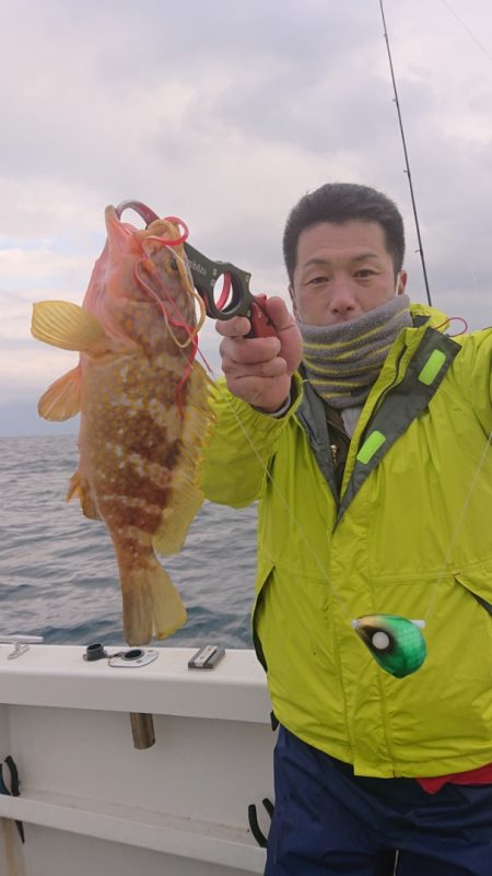 ARCADIAⅡ (アルカディアⅡ) 釣果