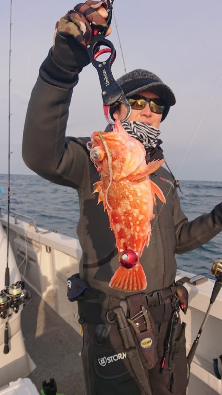 ARCADIAⅡ (アルカディアⅡ) 釣果