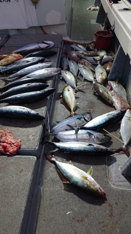 海皇丸 釣果