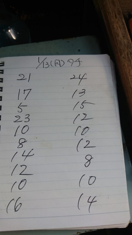 金沢八景鴨下丸 釣果