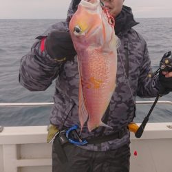 ARCADIAⅡ （アルカディアⅡ） 釣果