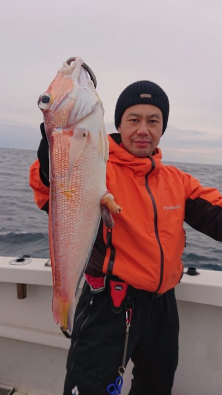 ARCADIAⅡ （アルカディアⅡ） 釣果