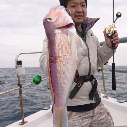 ARCADIAⅡ （アルカディアⅡ） 釣果