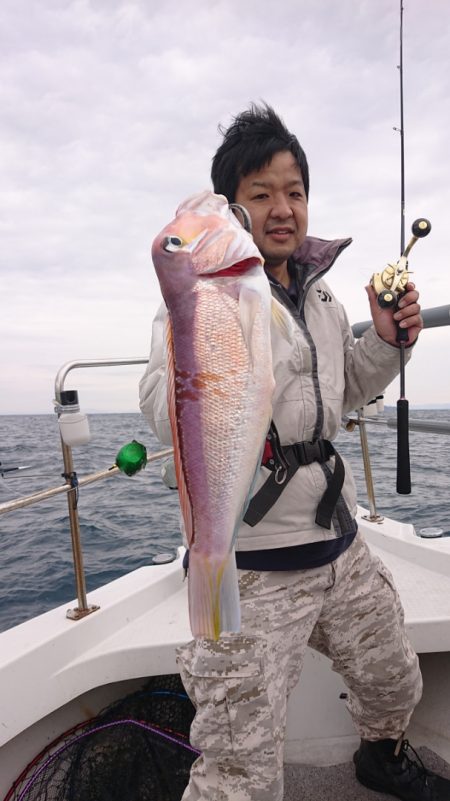 ARCADIAⅡ （アルカディアⅡ） 釣果