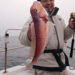 ARCADIAⅡ （アルカディアⅡ） 釣果