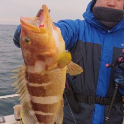 ARCADIAⅡ （アルカディアⅡ） 釣果