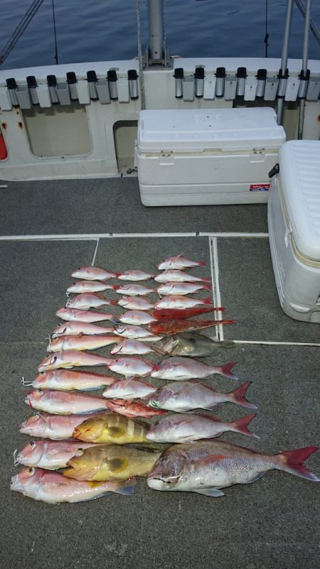 ARCADIAⅡ （アルカディアⅡ） 釣果