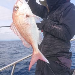 だて丸 釣果