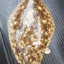 第二龍勢丸 釣果