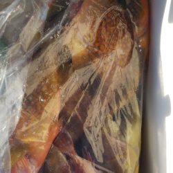 第二龍勢丸 釣果