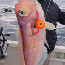 ARCADIAⅡ (アルカディアⅡ) 釣果