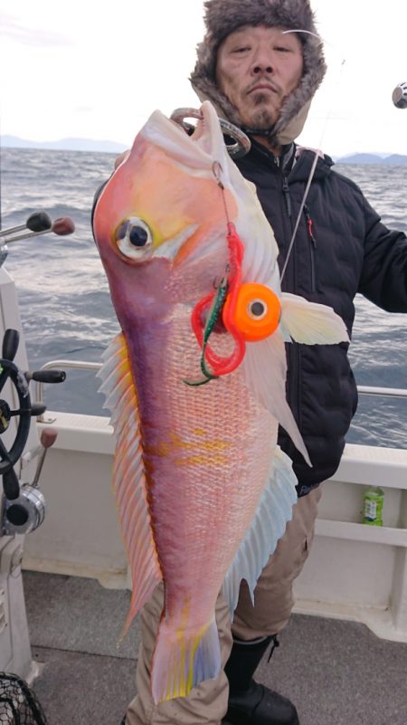 ARCADIAⅡ (アルカディアⅡ) 釣果