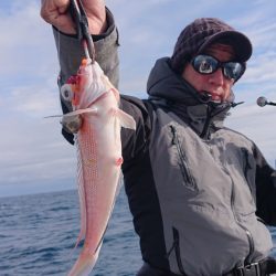 ARCADIAⅡ (アルカディアⅡ) 釣果