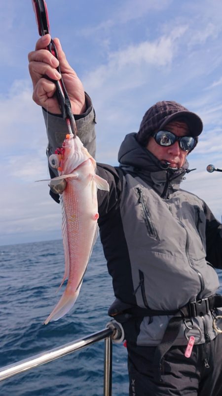 ARCADIAⅡ (アルカディアⅡ) 釣果