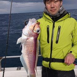 ARCADIAⅡ (アルカディアⅡ) 釣果