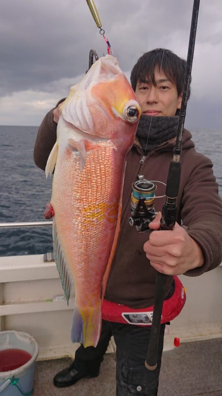 ARCADIAⅡ (アルカディアⅡ) 釣果