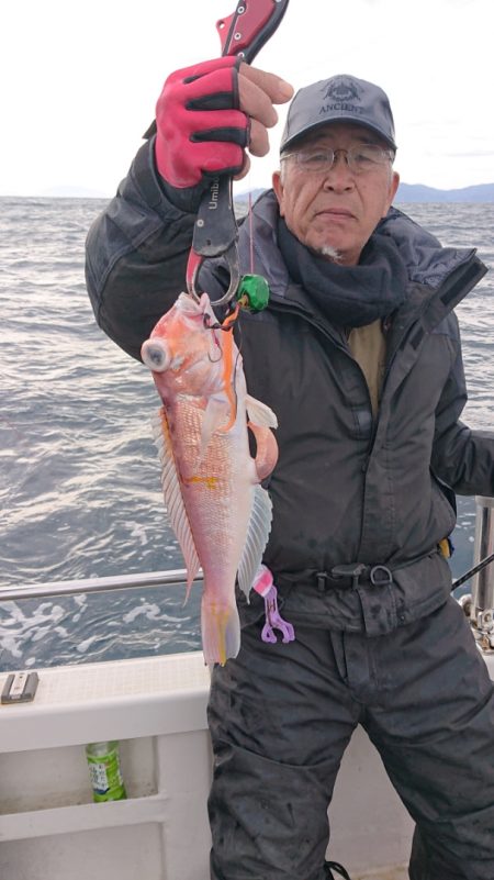 ARCADIAⅡ (アルカディアⅡ) 釣果