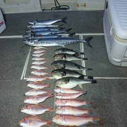 ARCADIAⅡ (アルカディアⅡ) 釣果