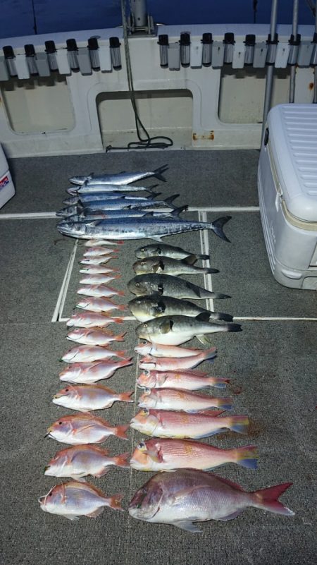 ARCADIAⅡ (アルカディアⅡ) 釣果