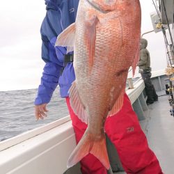 だて丸 釣果