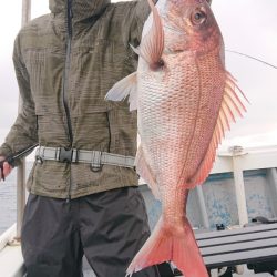 だて丸 釣果