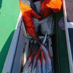 金沢八景鴨下丸 釣果