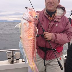 ARCADIAⅡ (アルカディアⅡ) 釣果