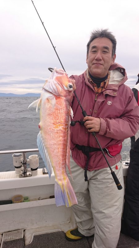 ARCADIAⅡ (アルカディアⅡ) 釣果