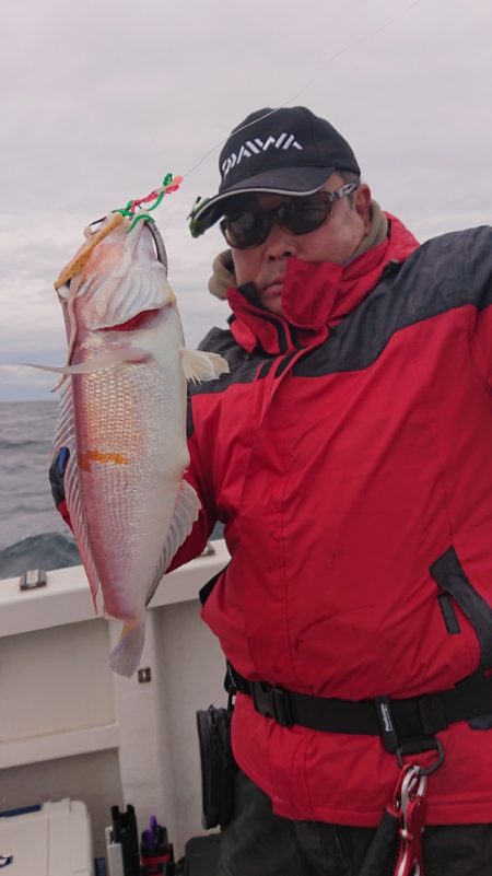 ARCADIAⅡ (アルカディアⅡ) 釣果