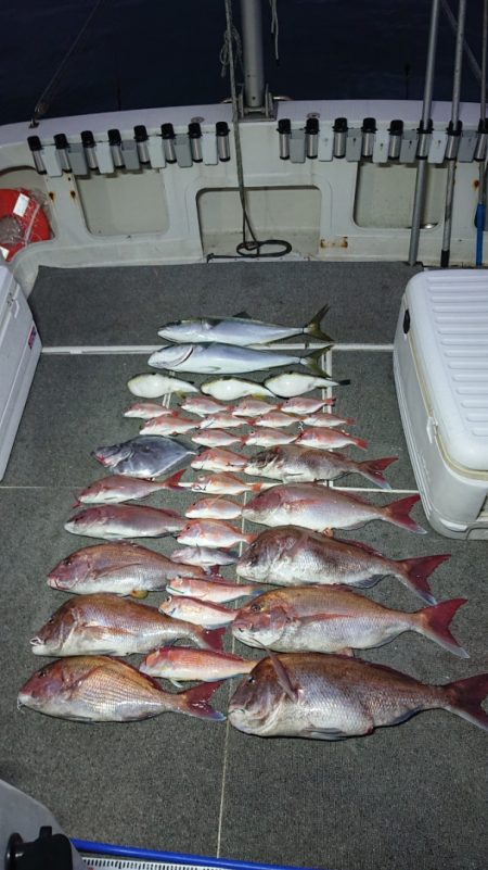 ARCADIAⅡ (アルカディアⅡ) 釣果