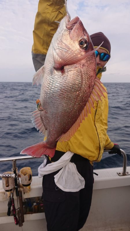 ARCADIAⅡ (アルカディアⅡ) 釣果