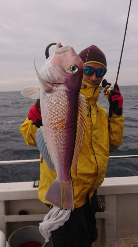 ARCADIAⅡ (アルカディアⅡ) 釣果