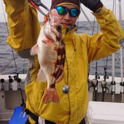 ARCADIAⅡ (アルカディアⅡ) 釣果