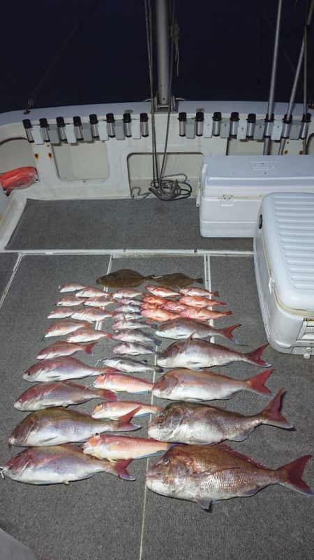 ARCADIAⅡ (アルカディアⅡ) 釣果