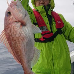 だて丸 釣果