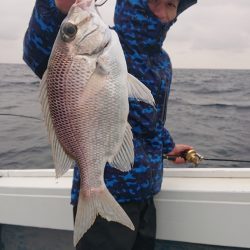 だて丸 釣果