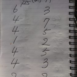 金沢八景鴨下丸 釣果