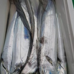 金沢八景鴨下丸 釣果