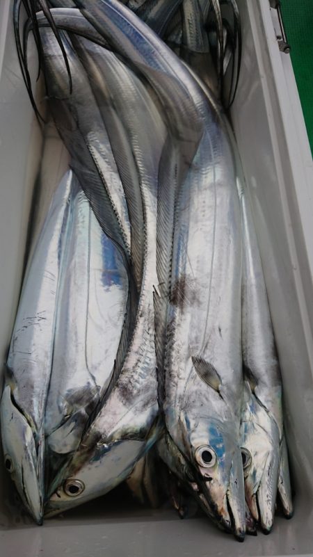 金沢八景鴨下丸 釣果